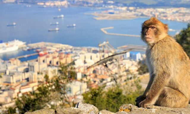 image: Dette er perlene på Costa del Sol image: Dette er perlene på Costa del Sol